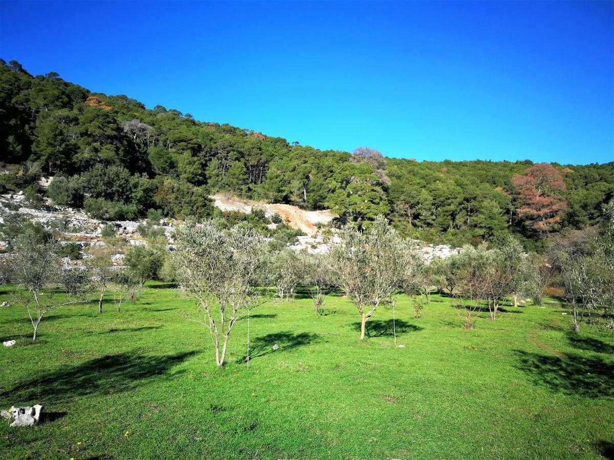 Agriculture & Holiday House Lasko Govedari Exterior photo